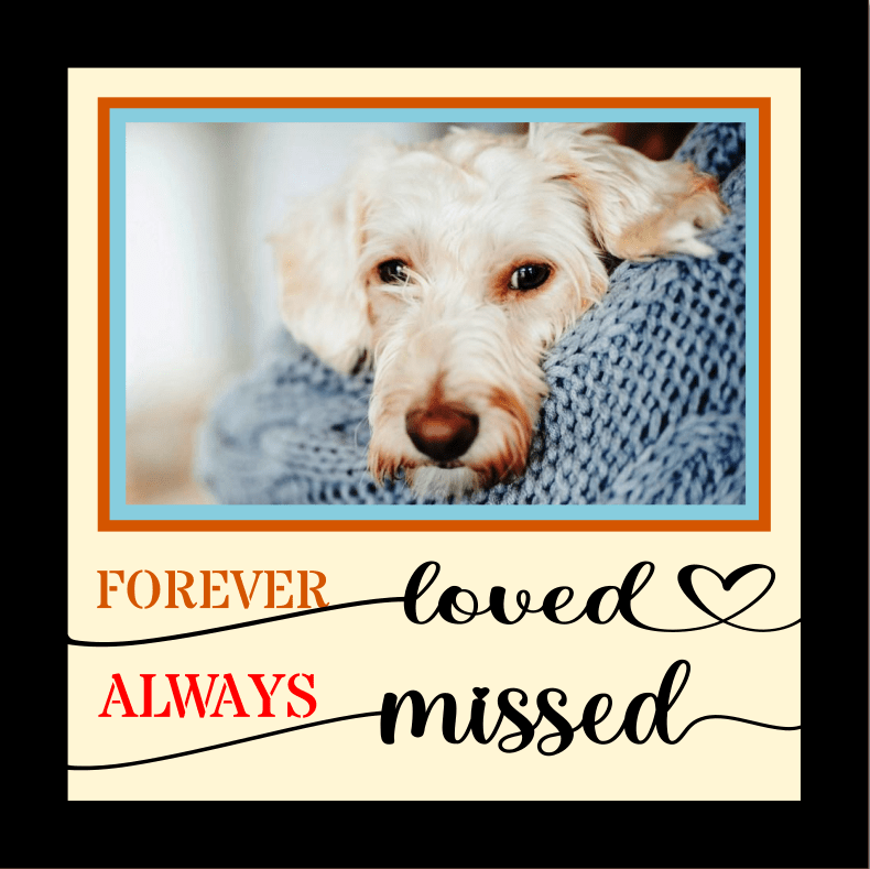 Pet's Memorial SVGs - Let's Craft Store