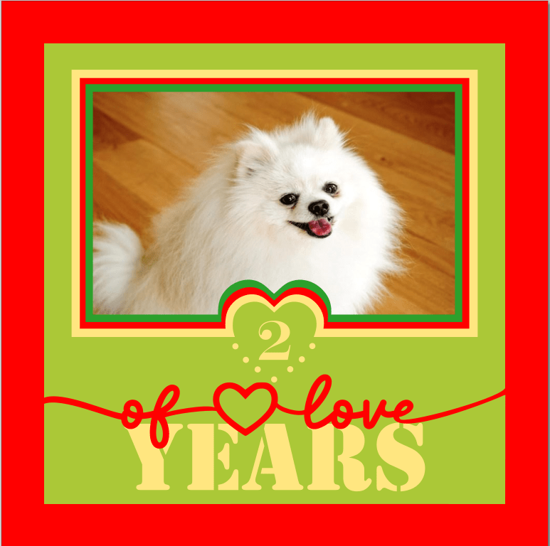 2 Years of Love Pet Photo Design | Custom Anniversary Keepsake