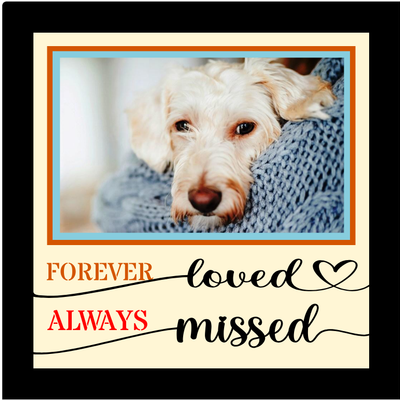 Forever Loved Always Missed pet memorial photo design for tribute frames memory displays and personalized keepsakes