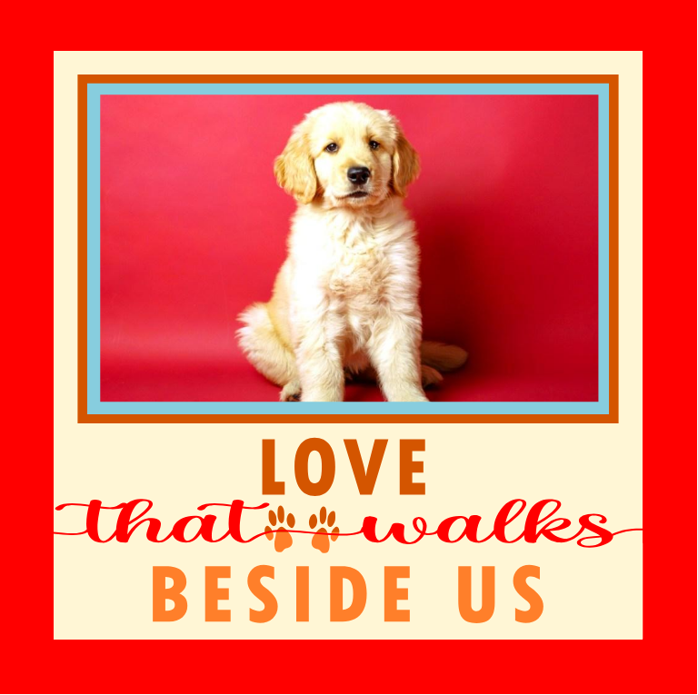 Love That Walks Beside Us pet photo design for framed prints, keepsakes, and meaningful gifts for pet lovers
