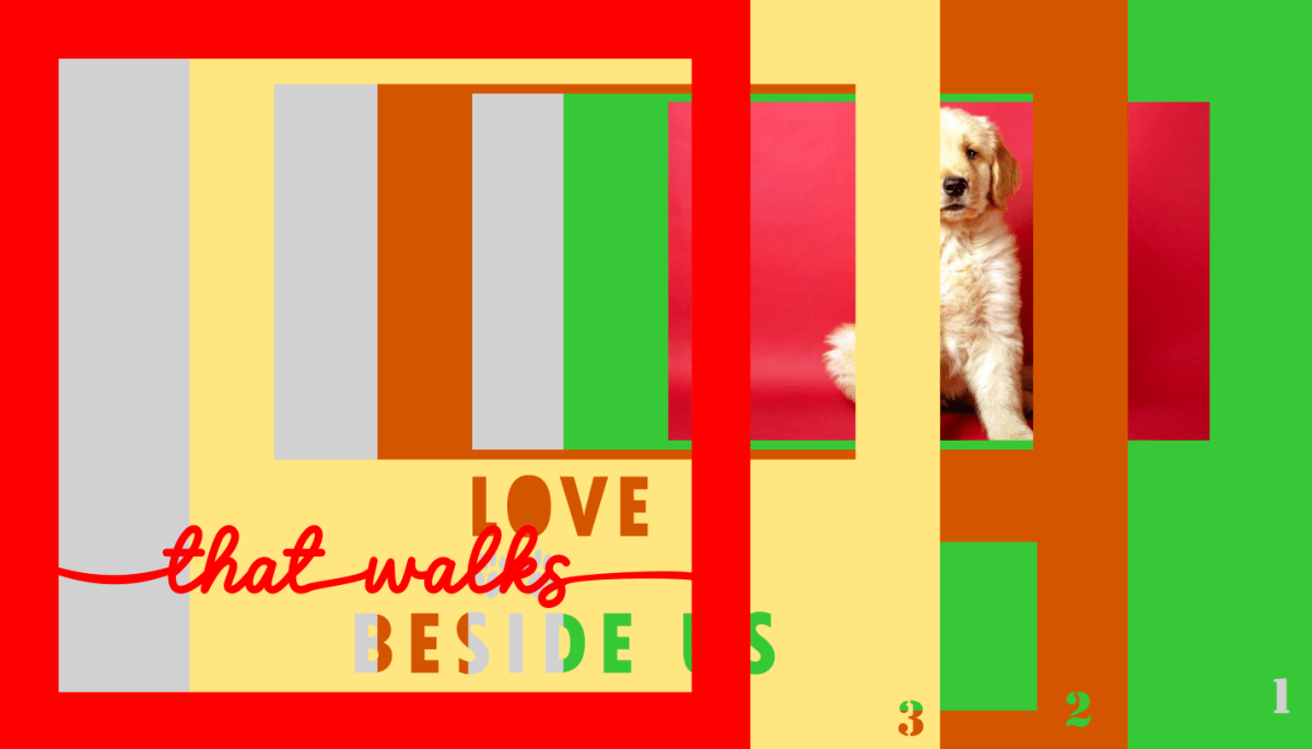 Love That Walks Beside Us Pet Photo Design | Pet Keepsake Gift
