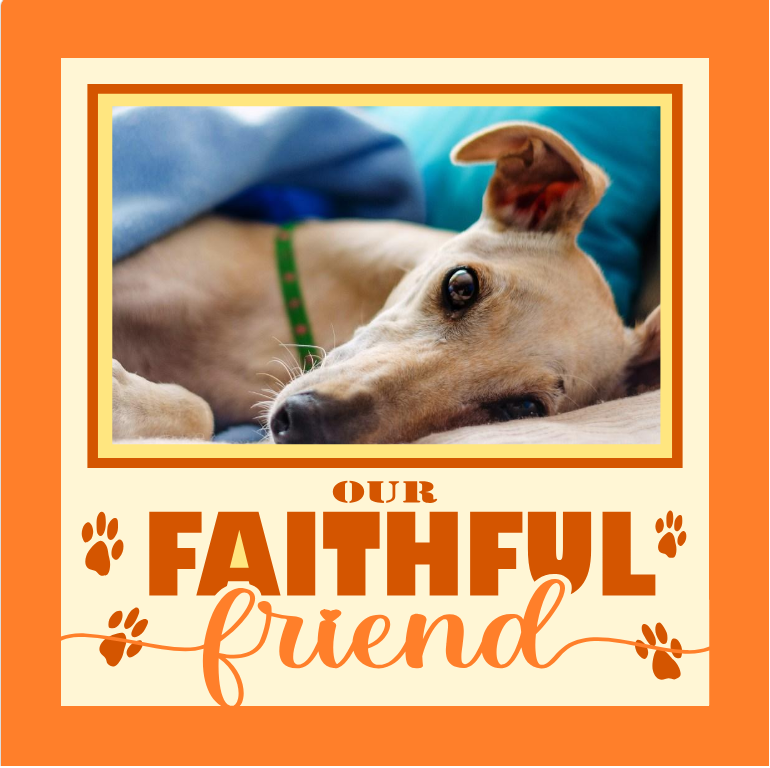 Forever Faithful Friend pet memorial photo design for tribute displays remembrance frames and meaningful keepsakes
