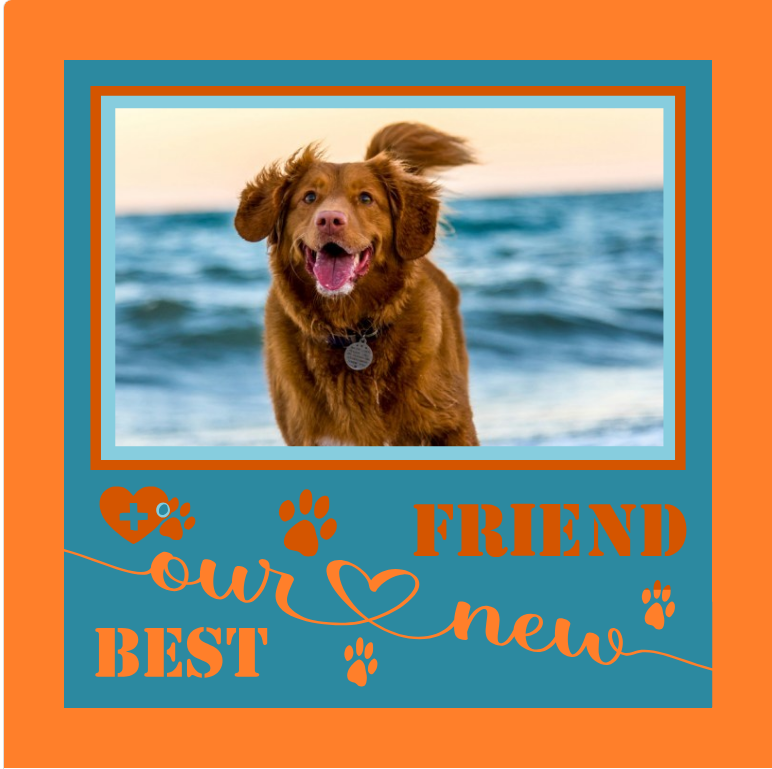 Our New Best Friend pet photo design for adoption keepsakes, framed memories, and pet home décor