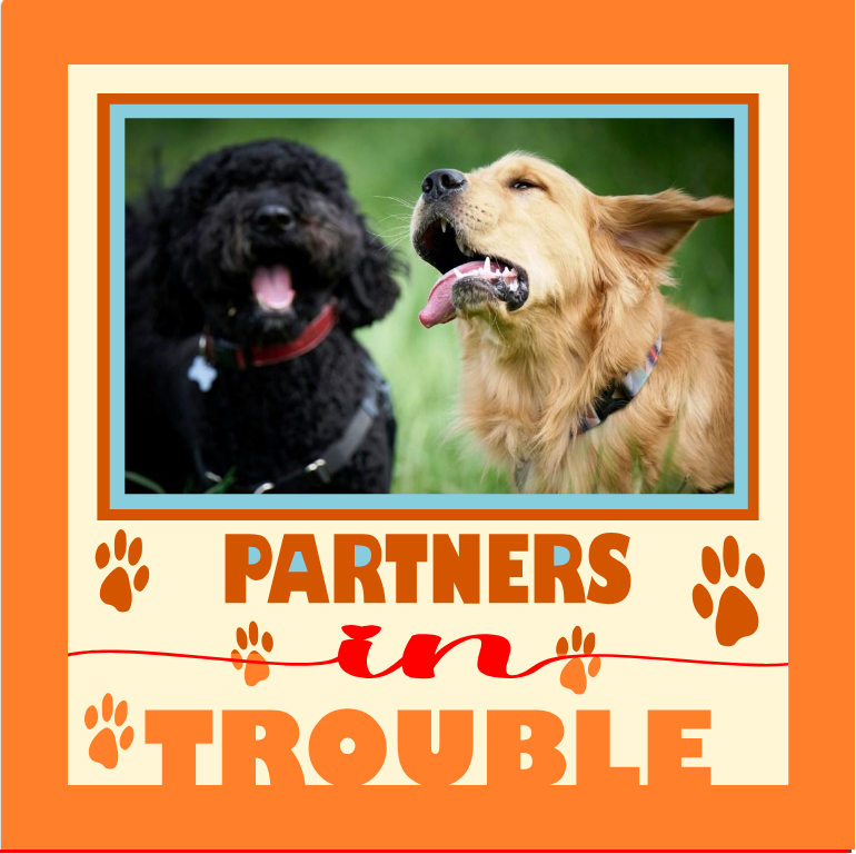 Partner in Trouble pet photo design for funny keepsakes, framed prints, and playful pet home décor