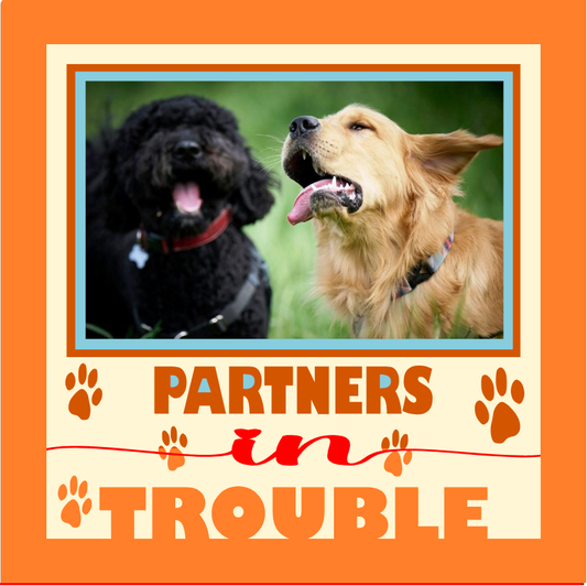Partner in Trouble pet photo design for funny keepsakes, framed prints, and playful pet home décor