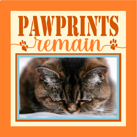 Paw Prints Remain pet memorial photo design for memory frames tribute keepsakes and remembrance décor