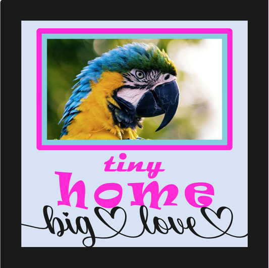Tiny Home Big Love bird cage photo design for custom keepsakes, framed décor, and gifts for bird lovers