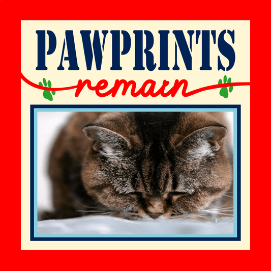 Paw Prints Remain Pet Memorial Photo Design | Remembrance Tribute