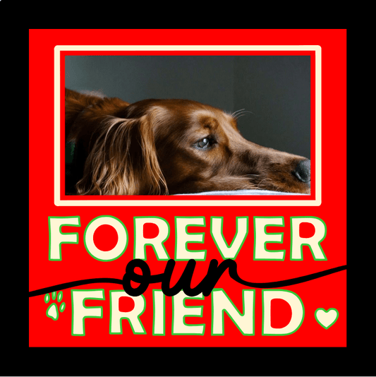 Forever Our Friend Pet Memorial Photo Design | Loving Tribute Keepsake