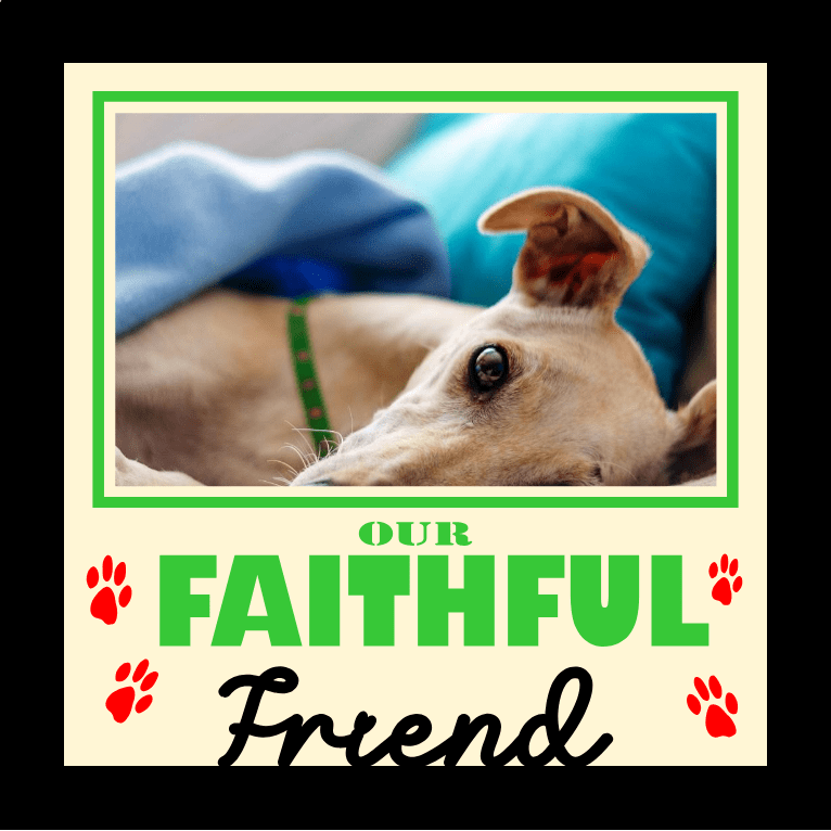 Our Faithful Friend Pet Memorial Photo Design | Tribute Gift