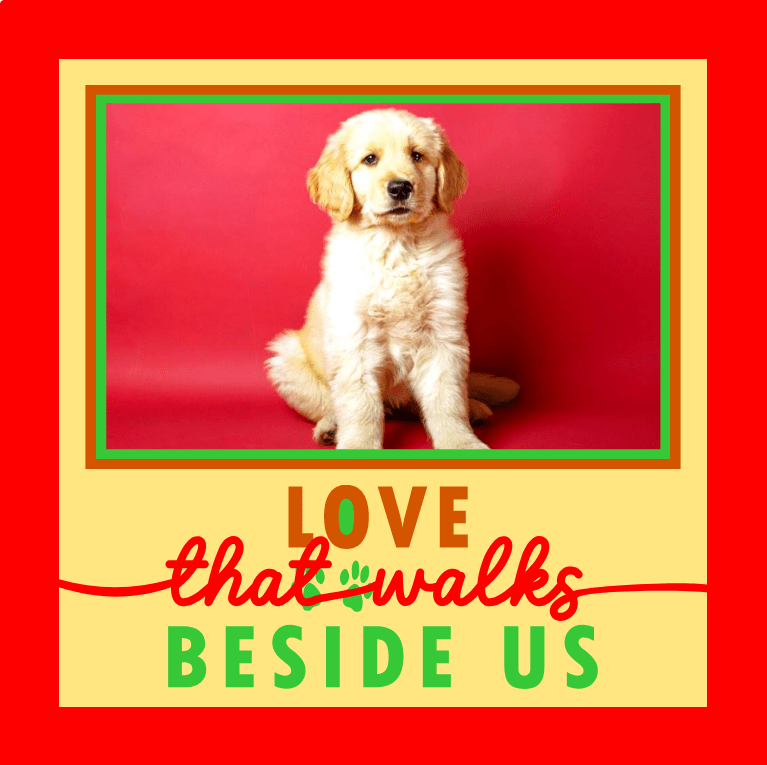 Love That Walks Beside Us Pet Photo Design | Pet Keepsake Gift