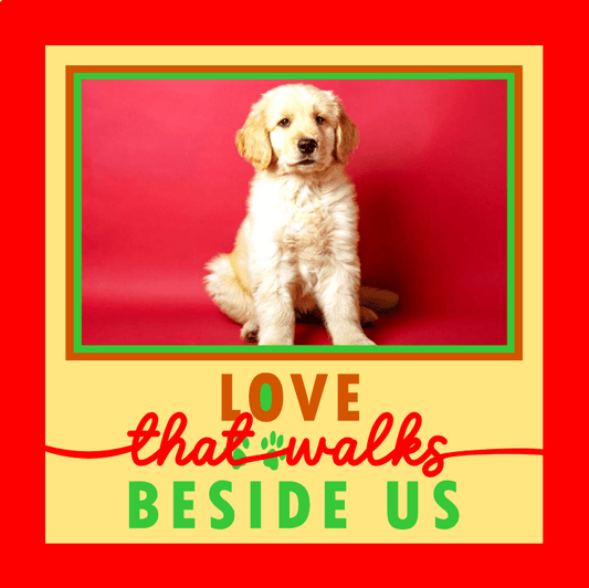 Love That Walks Beside Us Pet Photo Design | Pet Keepsake Gift
